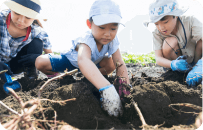 農作物の収穫体験 画像